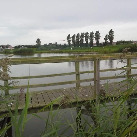 Stacaravan 4Pers In Bredene Met Eigen Tuintje 2449 Esterno foto
