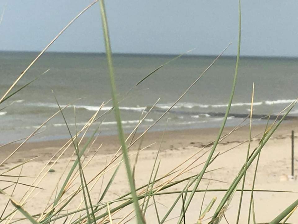 Stacaravan 4Pers In Bredene Met Eigen Tuintje 2449 Esterno foto