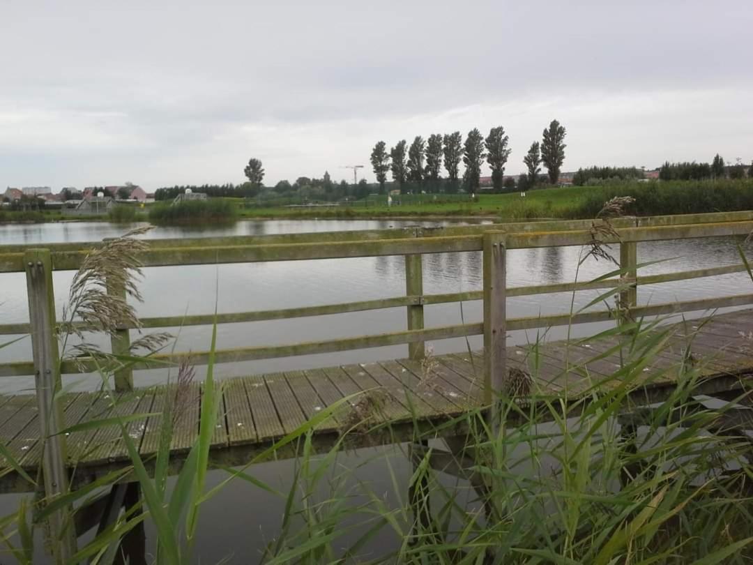 Stacaravan 4Pers In Bredene Met Eigen Tuintje 2449 Esterno foto